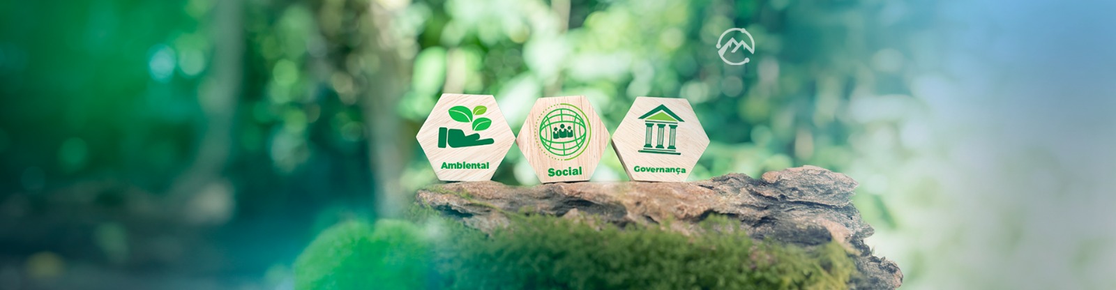 Papel das Instituições na Agenda ESG